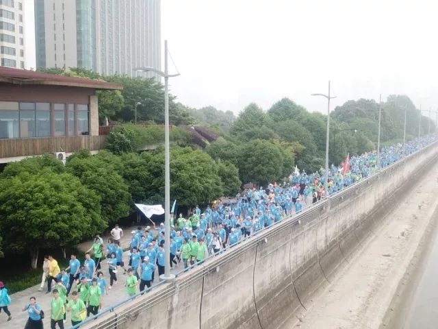 1526866599132826nmCb.jpg 6.jpg